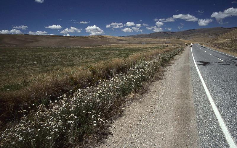 WT 0200 048-15 New Zealand.jpg